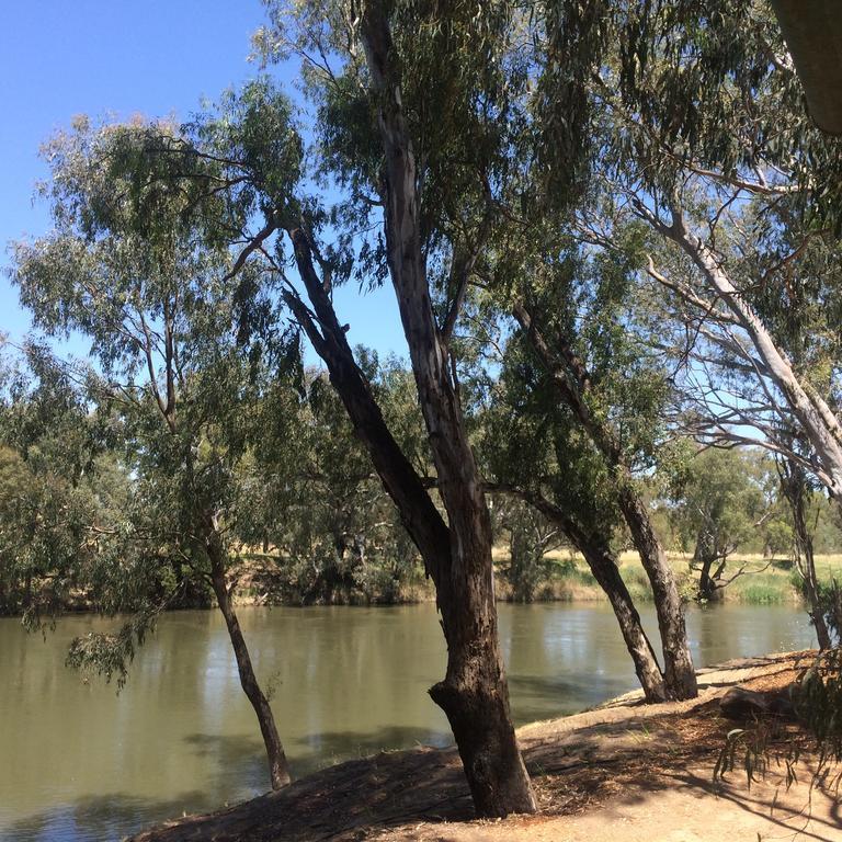 فندق Wagga Wagga Beach Caravan Park الغرفة الصورة