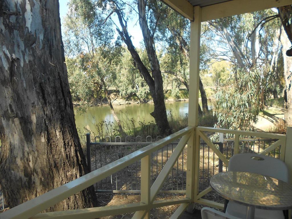 فندق Wagga Wagga Beach Caravan Park الغرفة الصورة